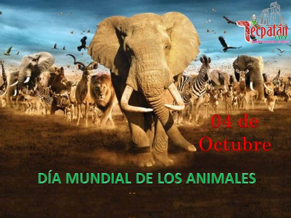 ¡DÍA DE LOS ANIMALES, 04 DE OCTUBRE!.